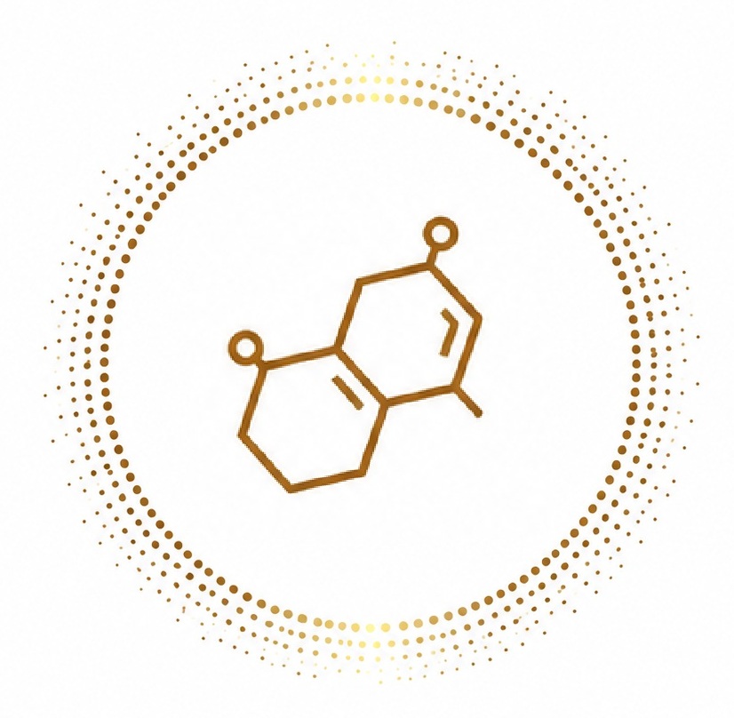 Logo Carré_Ninsun biotech sans le nom 2026 06 03